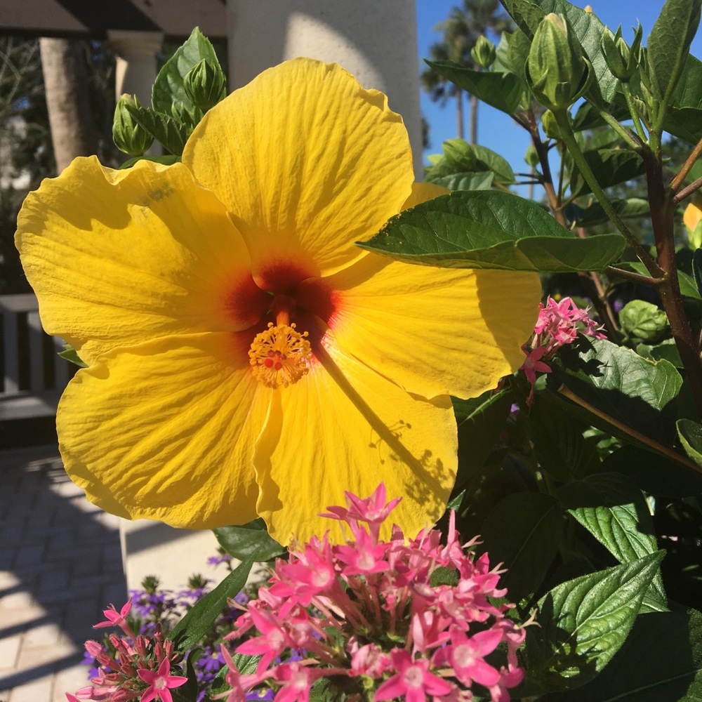 Meet your Posher, Mary